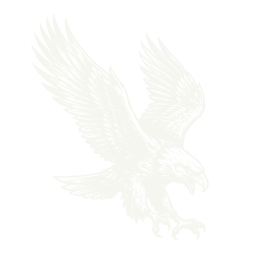 Diving eagle